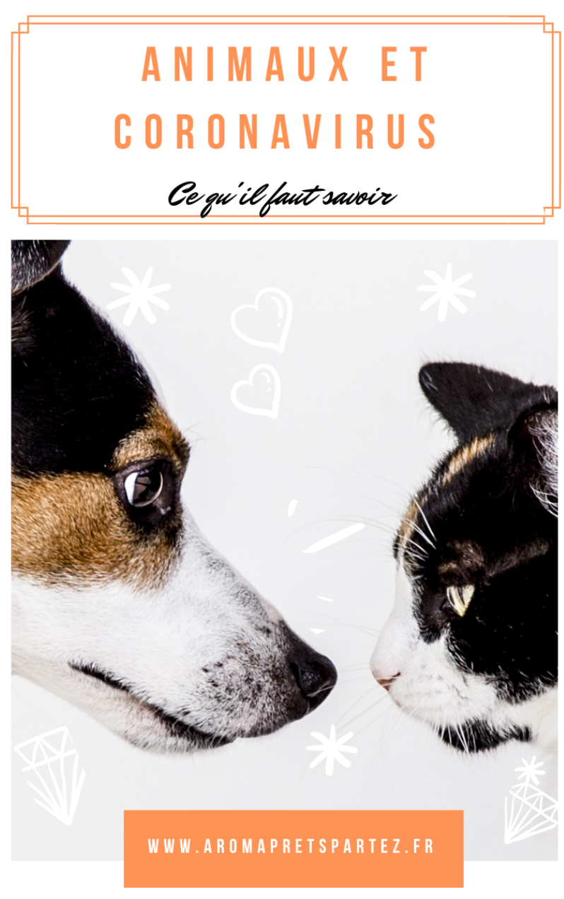 Animaux & coronavirus 