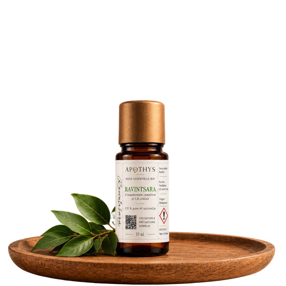 Huile essentielle bio - Ravintsara