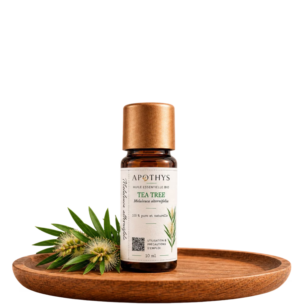 Huile essentielle bio - Tea tree